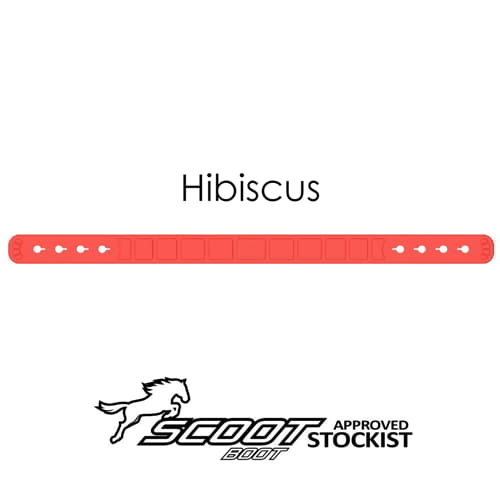 Hibiscus pastern with name.jpg_logo_web