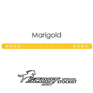 Marigold pastern with name_logo_web