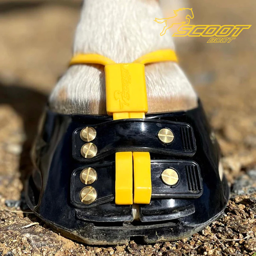 Scoot Boot_With_Mud_Strap_marigold_web