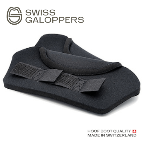 Swiss Galoppers Ballenschutz_logo_web