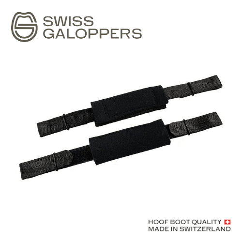 Swiss Galoppers Fesselband_logo_web