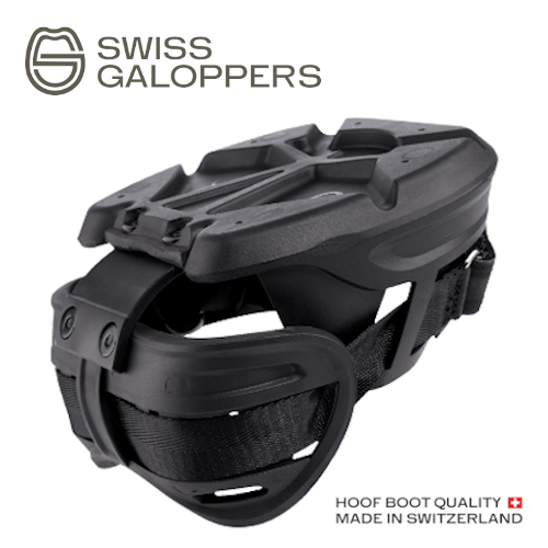 Swiss Galoppers SG-L Profil_logo_web