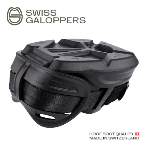 Swiss Galoppers SG Profil_logo_web