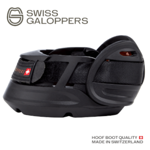 Swiss Galoppers SG Seite_logo_web