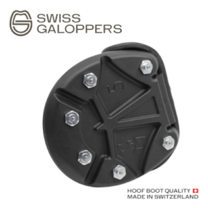 Swiss Galoppers SGX-_logo_web