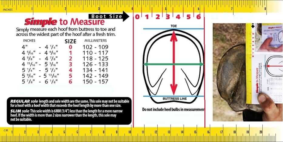 CavallAo_Measuring-Chart_0-6_web