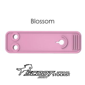 Blossom front with name_logo_web