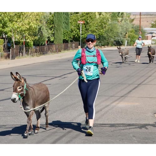 Burro-racing-Cavallo-CLB-Hoof-Boots-Donkey-Mule-Miniature-horse_web