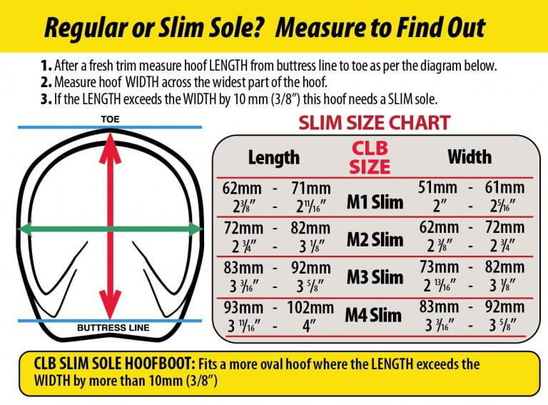 cavallo_CLB-Slim-chart-measuring-info