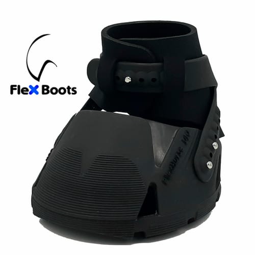 Flex Hoof Boots_web