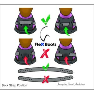 Flex boot_Back Straps Placement_web