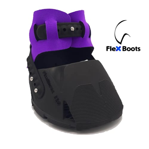 Flex boot_purple_web