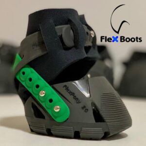 Flex boot_back straps green1_web