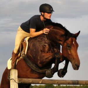 Cavallo-Trek-hoof-boots-horse-free-jumping