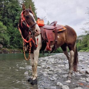 Cavallo_Erin-Frances-Trek-Hoof-Boots_happy user