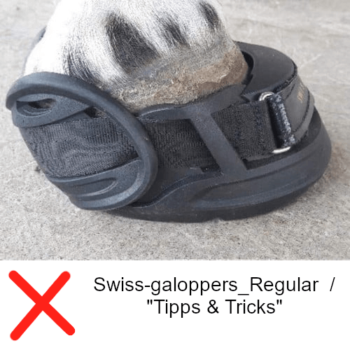 Swiss-galoppers_Regular - FALSCH für diesen Huf siehe Tipps & Tricks2_web
