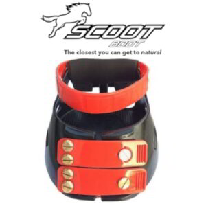 Scoot Boot rot_web