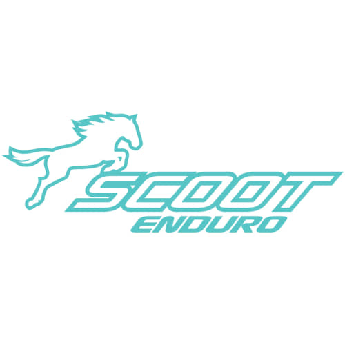 NEU Scoot Enduro 10