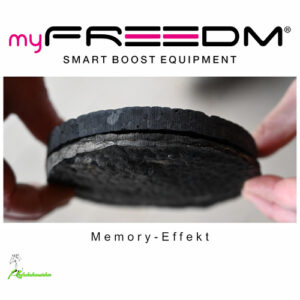 myFREEDM_Memory1_web