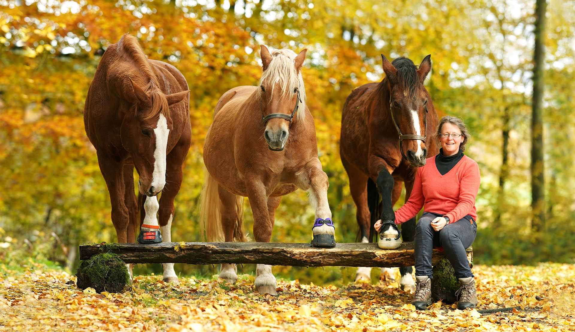 Hufschuhanzieher-Michele-Mesche-Herbst-21