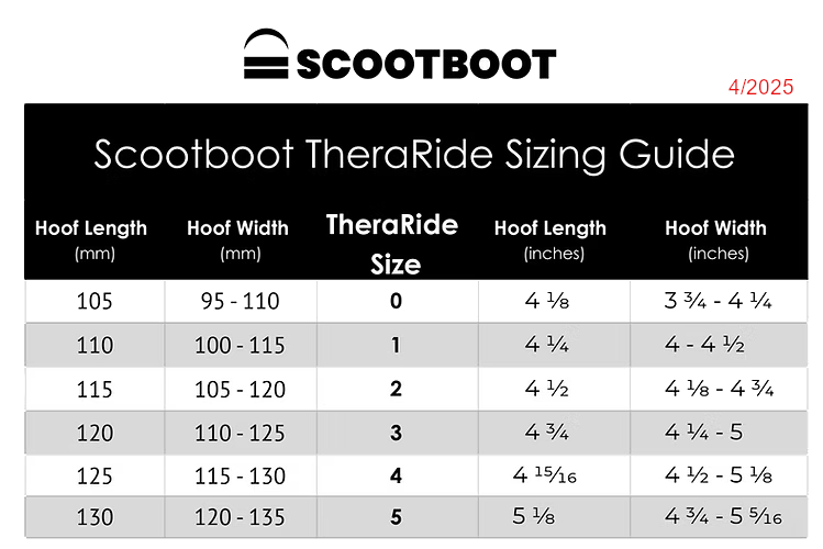 Scoot Boot TheraRide 2 Scoot Boot TheraRide 1