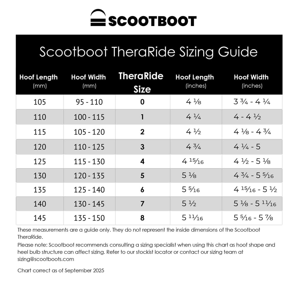 Scoot Boot TheraRide 1