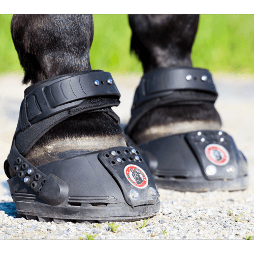 Equine Fusion TrailBlazer