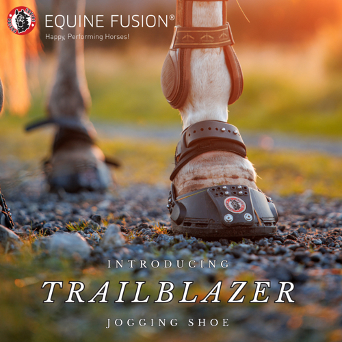 Equine Fusion TrailBlazer_Dont follow paths Create them _web
