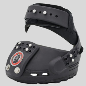 Equine Fusion_Trailblazer_0107web