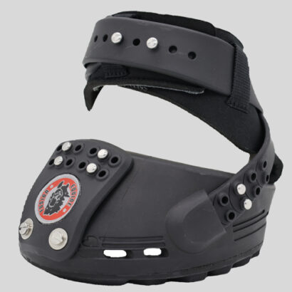 Equine Fusion_Trailblazer_0107web