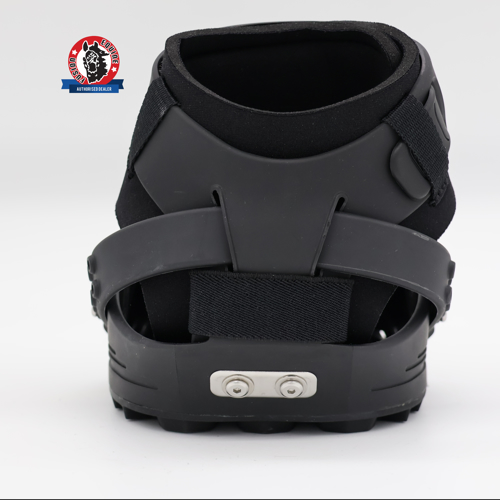 Equine Fusion_Trailblazer_0116_web