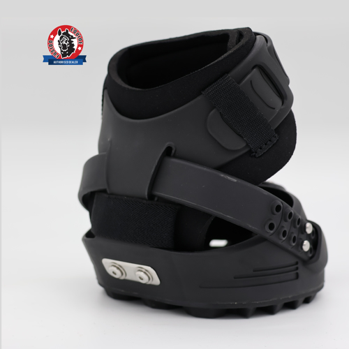 Equine Fusion_Trailblazer_0125_web