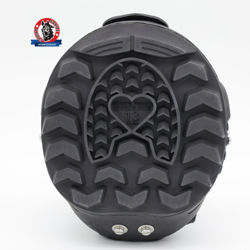 Equine Fusion_Trailblazer_0248_web