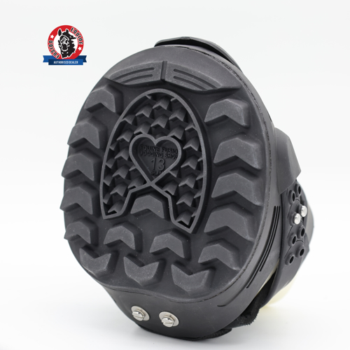 Equine Fusion_Trailblazer_0252_web