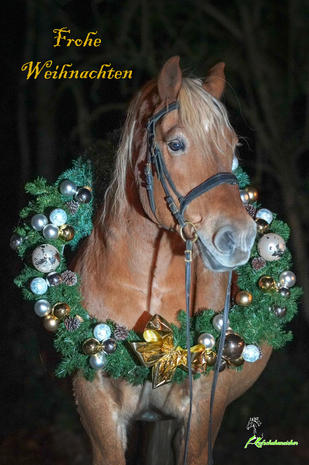 Hufschuhanzieher – Michèle Mesche 1