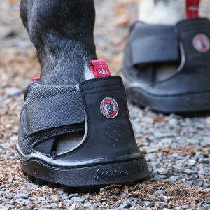 Hufschuh-Equine-Fusion-am Pferd